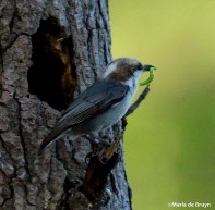 IMG_3639©Maria de Bruyn