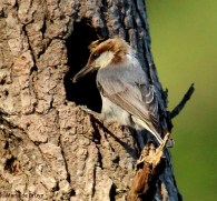 IMG_3684©Maria de Bruyn