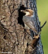 IMG_3726©Maria de Bruyn