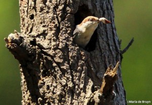 IMG_4164©Maria de Bruyn