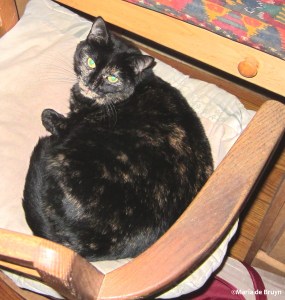 Moasi IMG_3418©Maria de Bruyn res