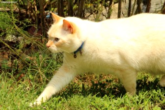 Ogi IMG_0461©Maria de Bruyn res