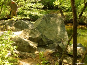 elephant rock IMG_6443© Maria de Bruyn res