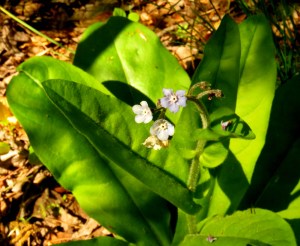 IMG_6458© Maria de Bruyn res