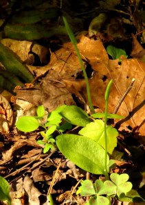 IMG_6466© Maria de Bruyn res