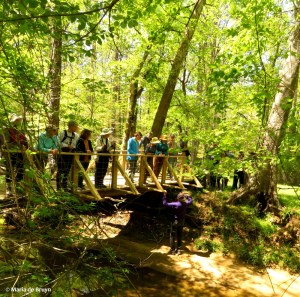 Ken Moore IMG_6384© Maria de Bruyn res