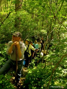 Listening IMG_6499© Maria de Bruyn res