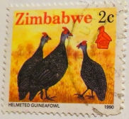 zimbabwe-img_0077-maria-de-bruyn