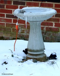 heated-fountain-i77a3586-maria-de-bruyn-res