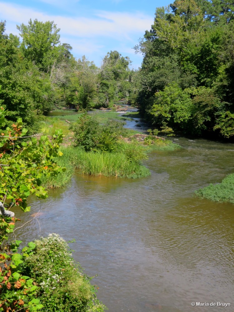 1 Bynum IMG_0631© Maria de Bruyn res