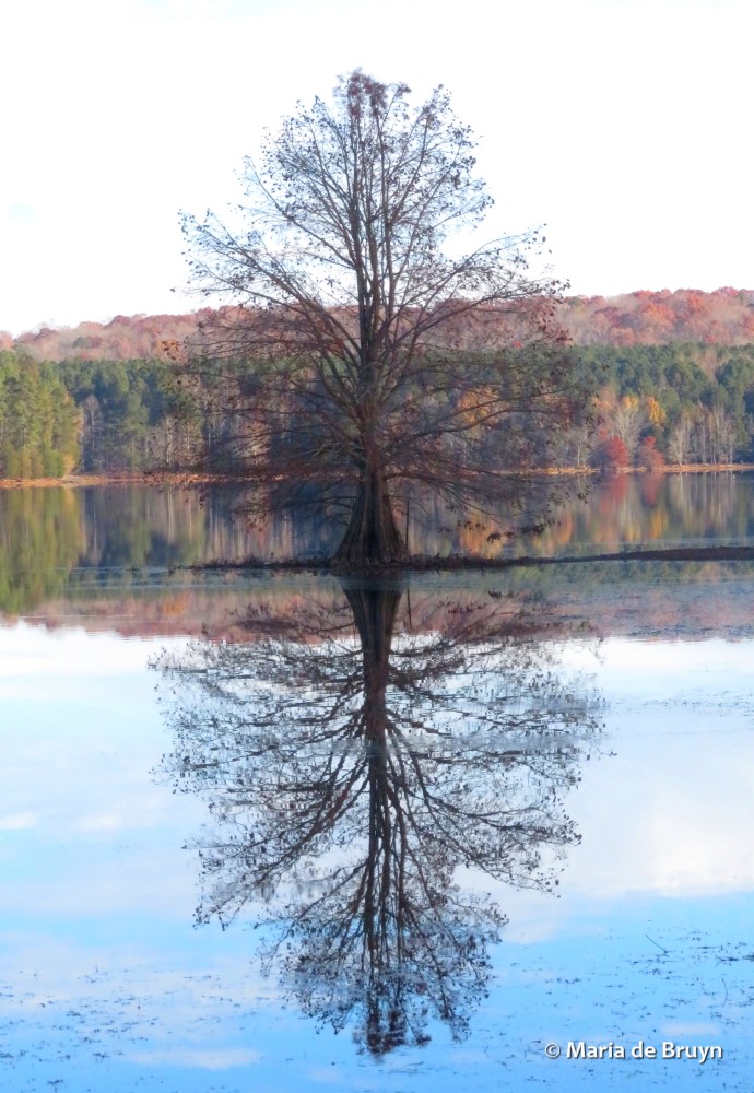 10 Cane Creek IMG_0014 © Maria de Bruyn res