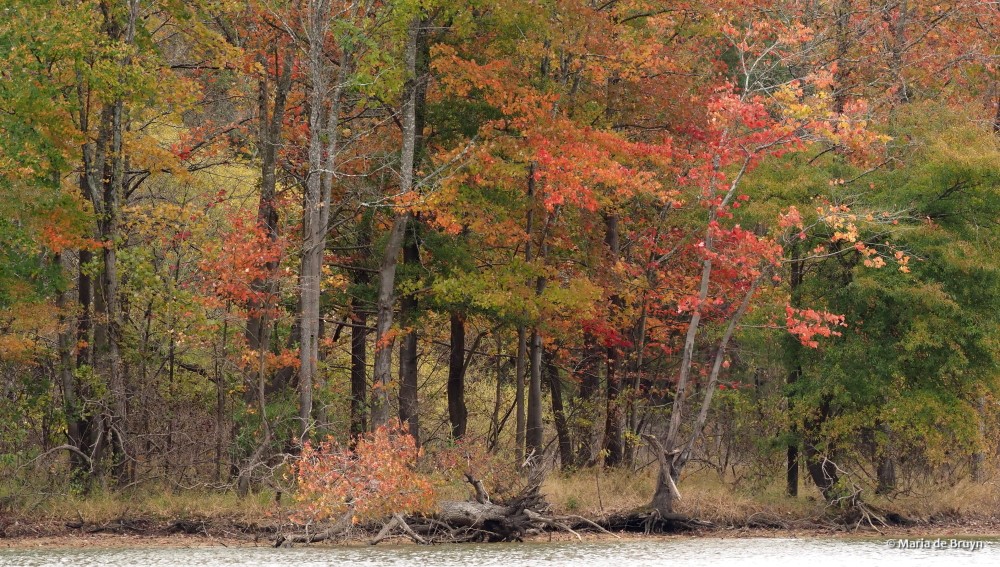 7 Jordan Lake PB063637 © Maria de Bruyn res